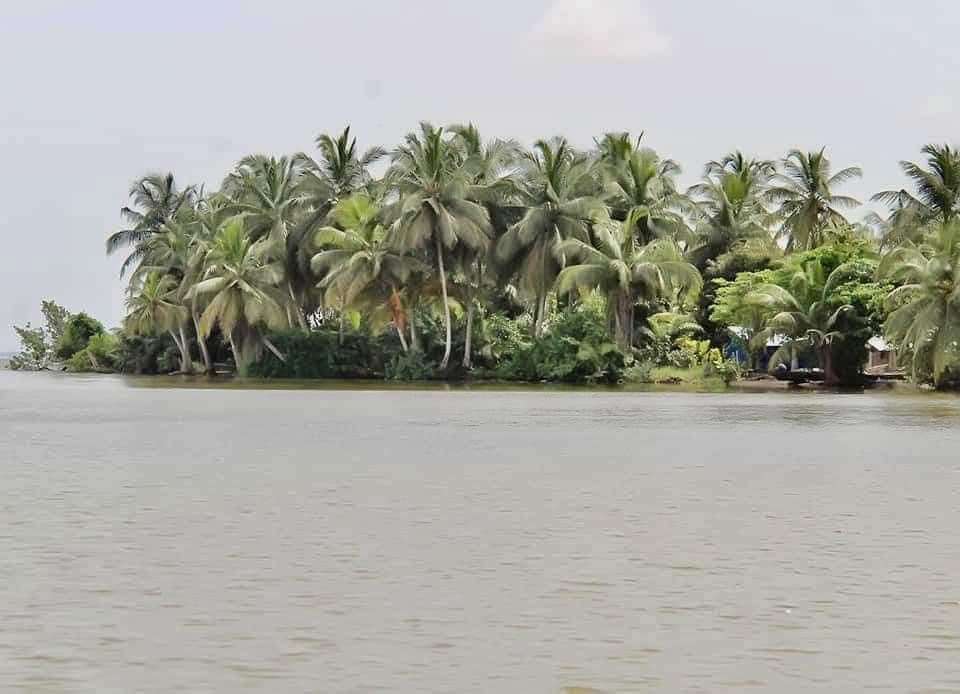 2 hectare a vendre a Lauzoua en bordures de la lagune, site très paradisiaque, lauzoua est a 150km d'Abidjan après grand lahou sur la côtière, site touristique aussi.