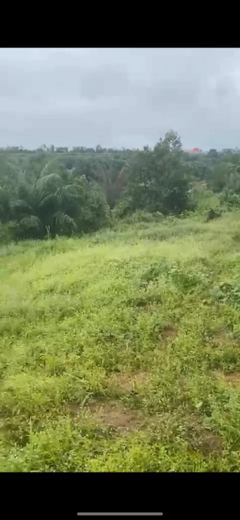 VENTE DE TERRAIN A BINGERVILLE