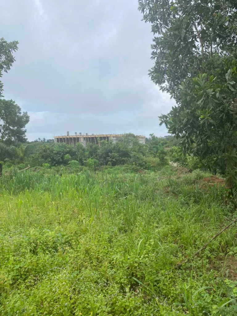 VENTE DE TERRAIN A BINGERVILLE