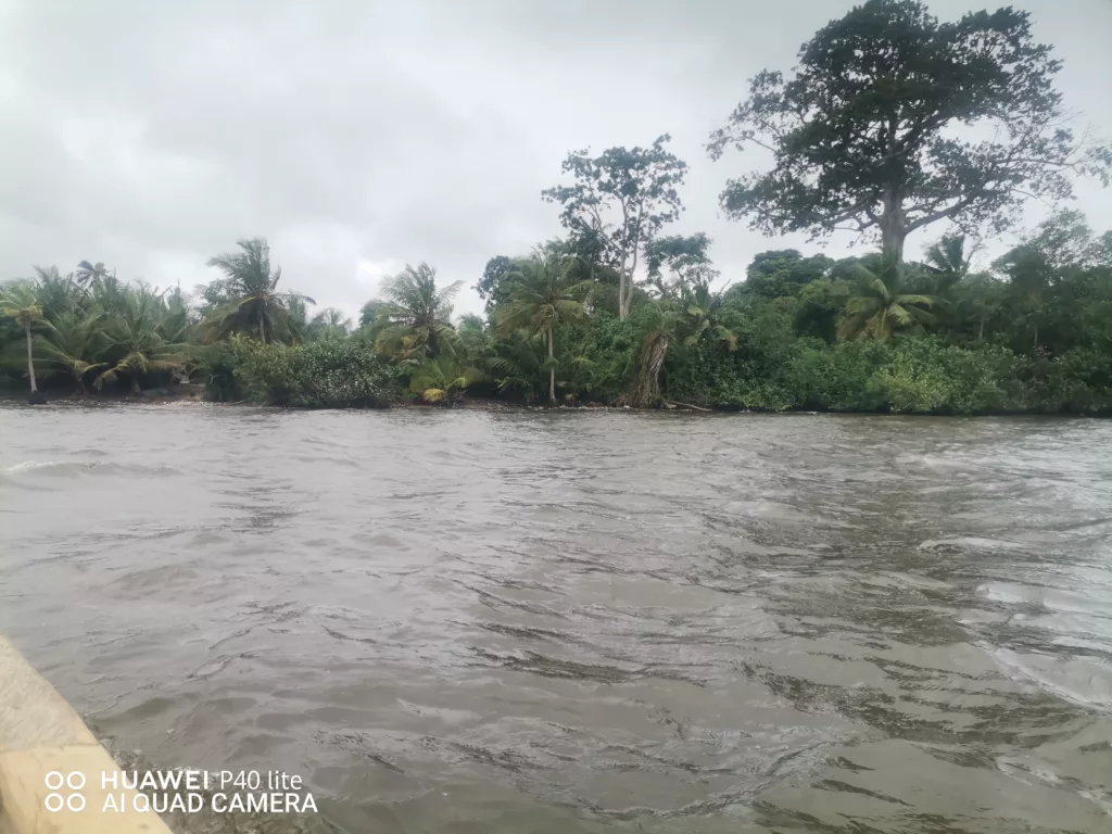 2 hectare a vendre a Lauzoua en bordures de la lagune, site très paradisiaque, lauzoua est a 150km d'Abidjan après grand lahou sur la côtière, site touristique aussi.