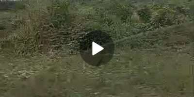 Vente d'un site de 51 hectares