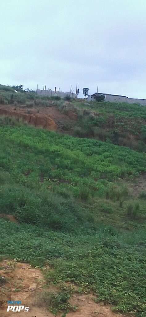 URGENCE EN VENTE A SONGON