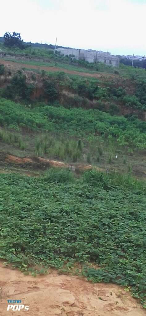 URGENCE EN VENTE A SONGON