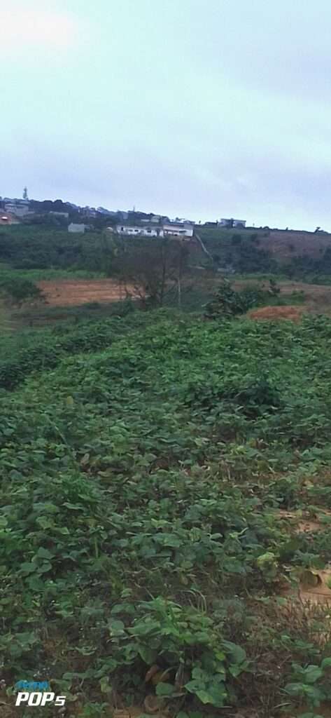 URGENCE EN VENTE A SONGON